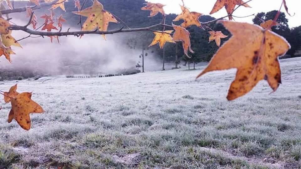 Tempo E Temperatura Em Campos Do Jordão