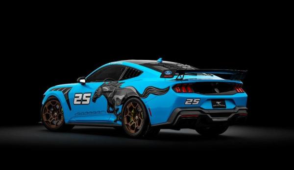Mustang Azul, 25 anos de Hist�ria do Clube